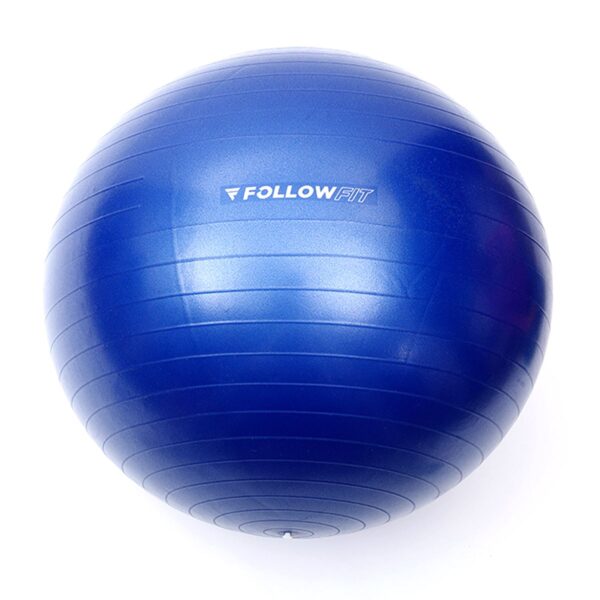 PELOTA DE ESFERODINAMIA FOLLOW FIT 65 CMS