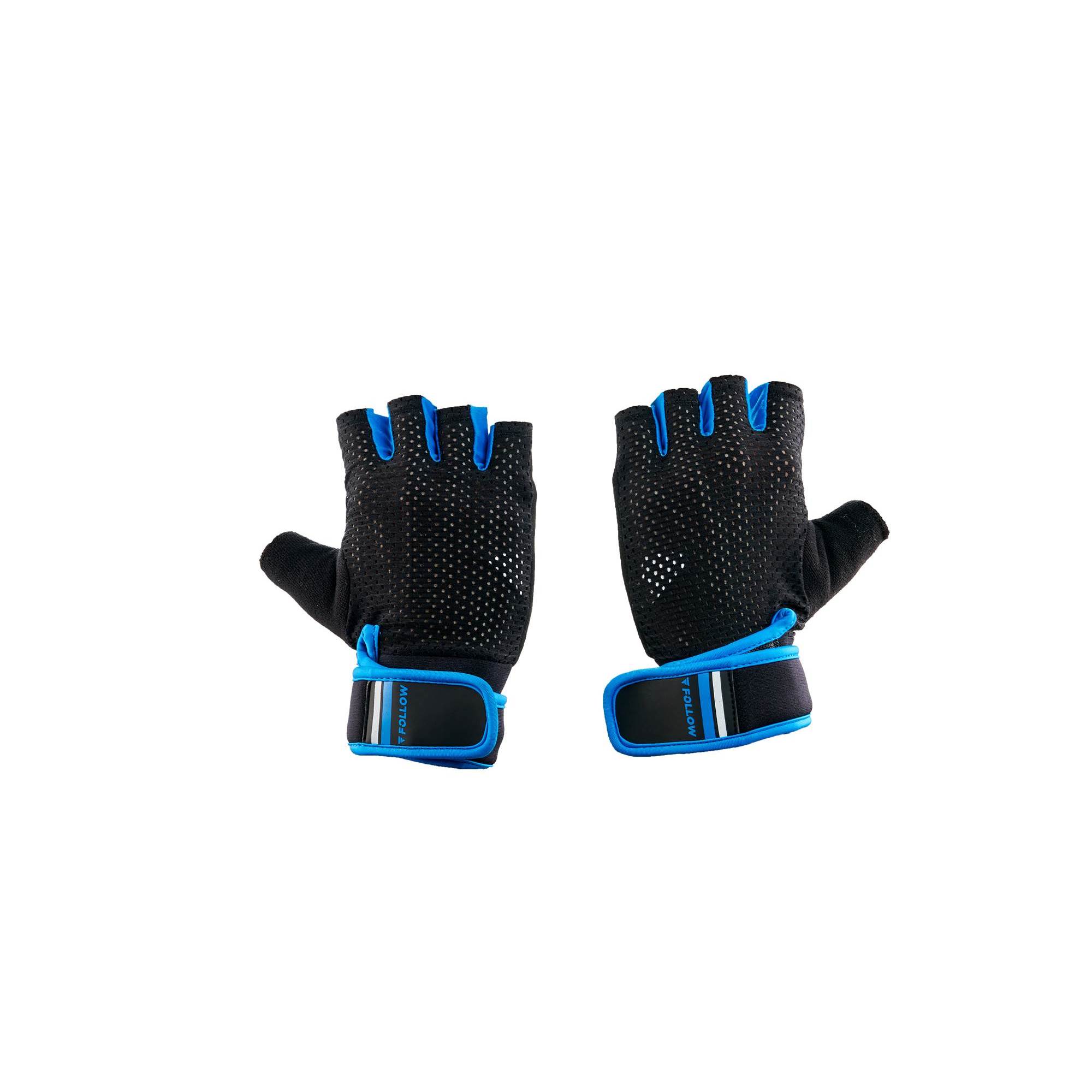 LION Black_Blue1