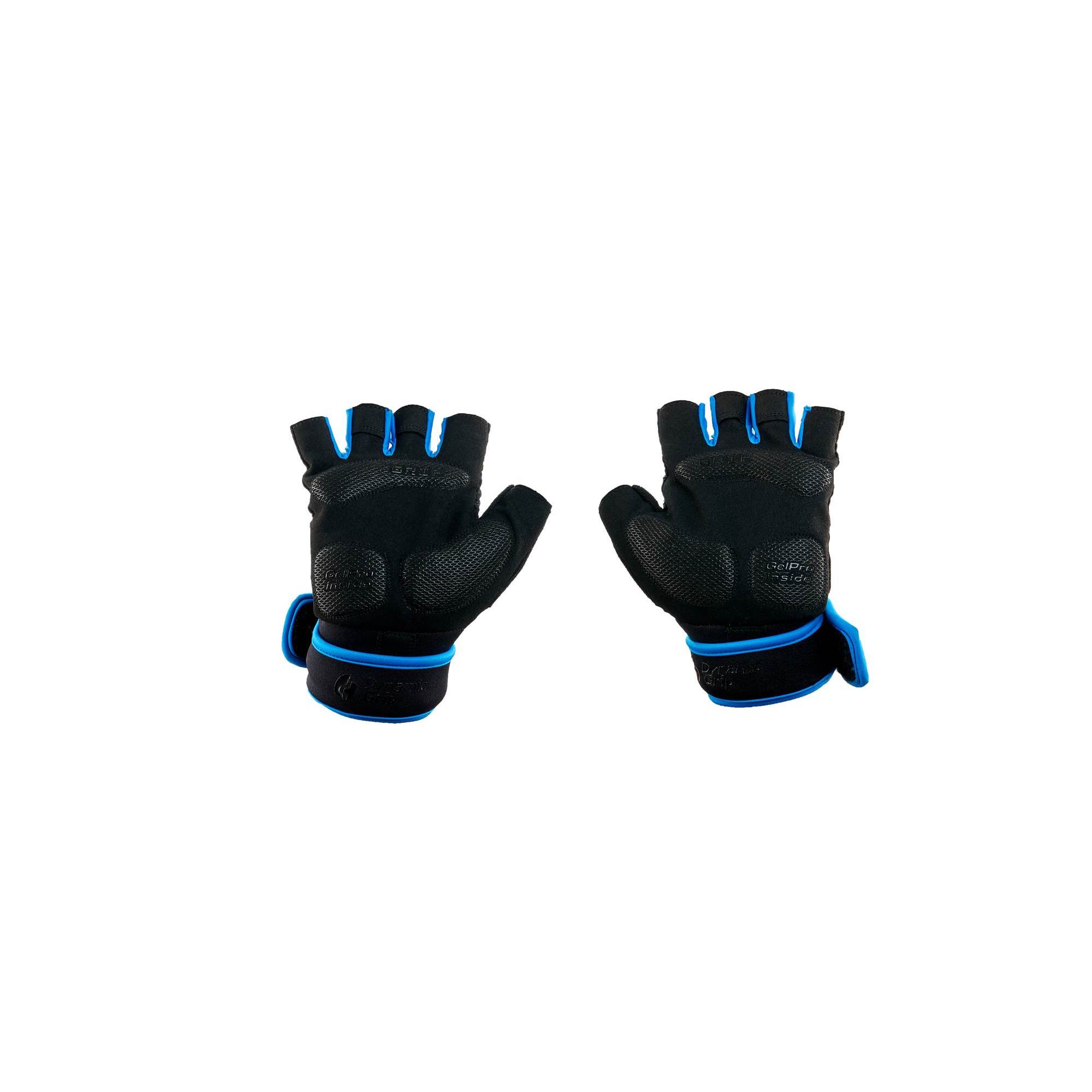 LION Black_Blue2