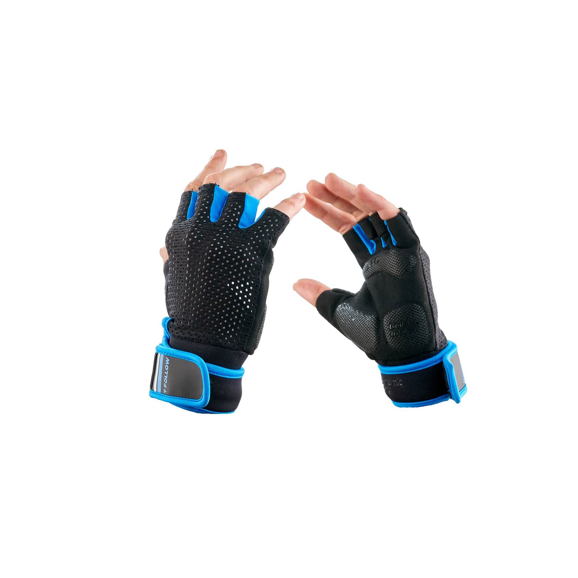 LION Black_Blue3