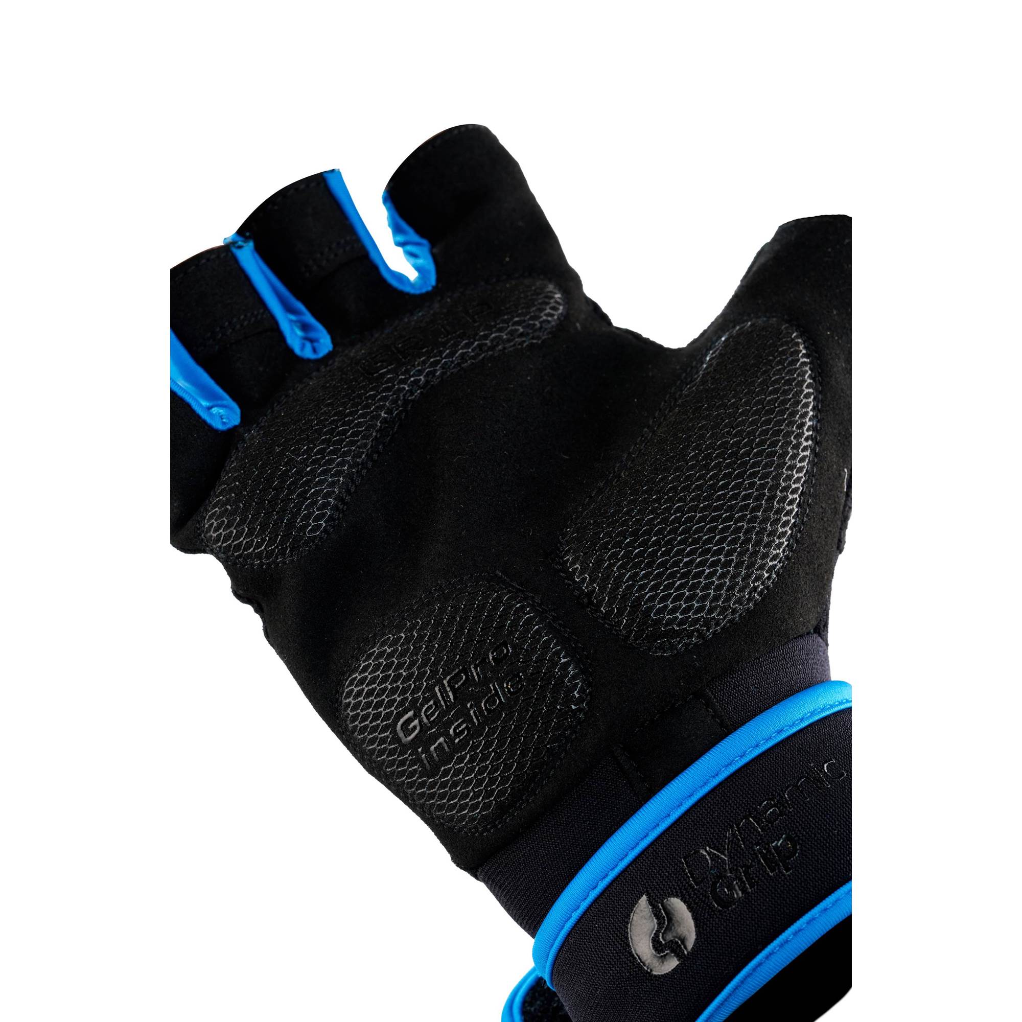 LION Black_Blue4