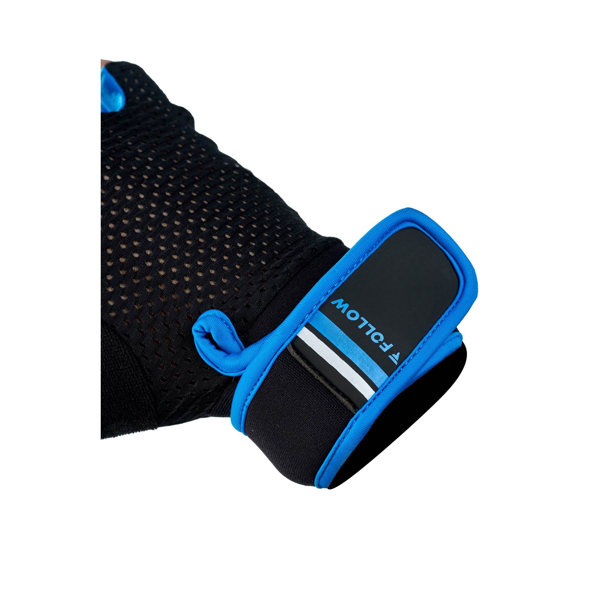 LION Black_Blue5
