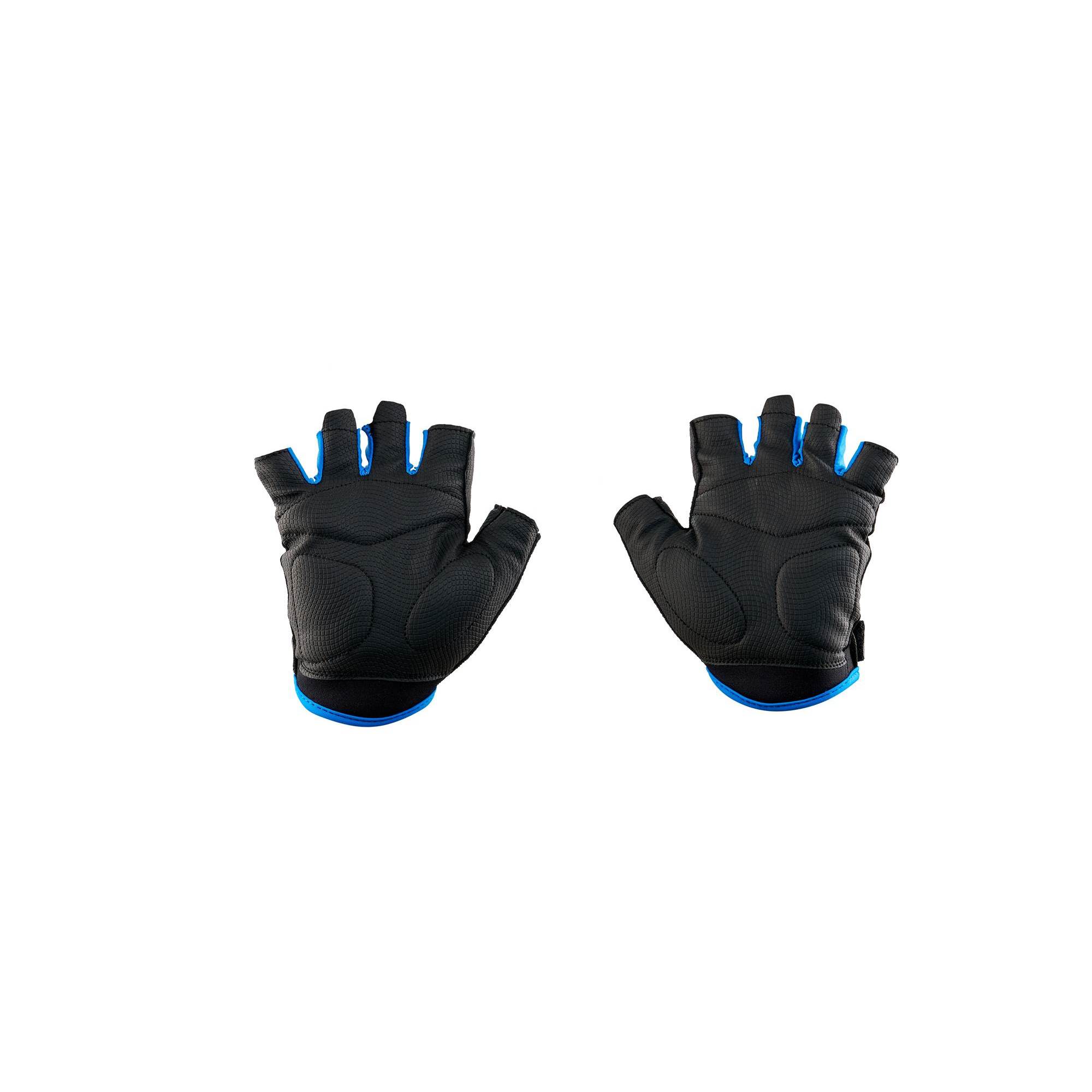 PANTHER Black_Blue2