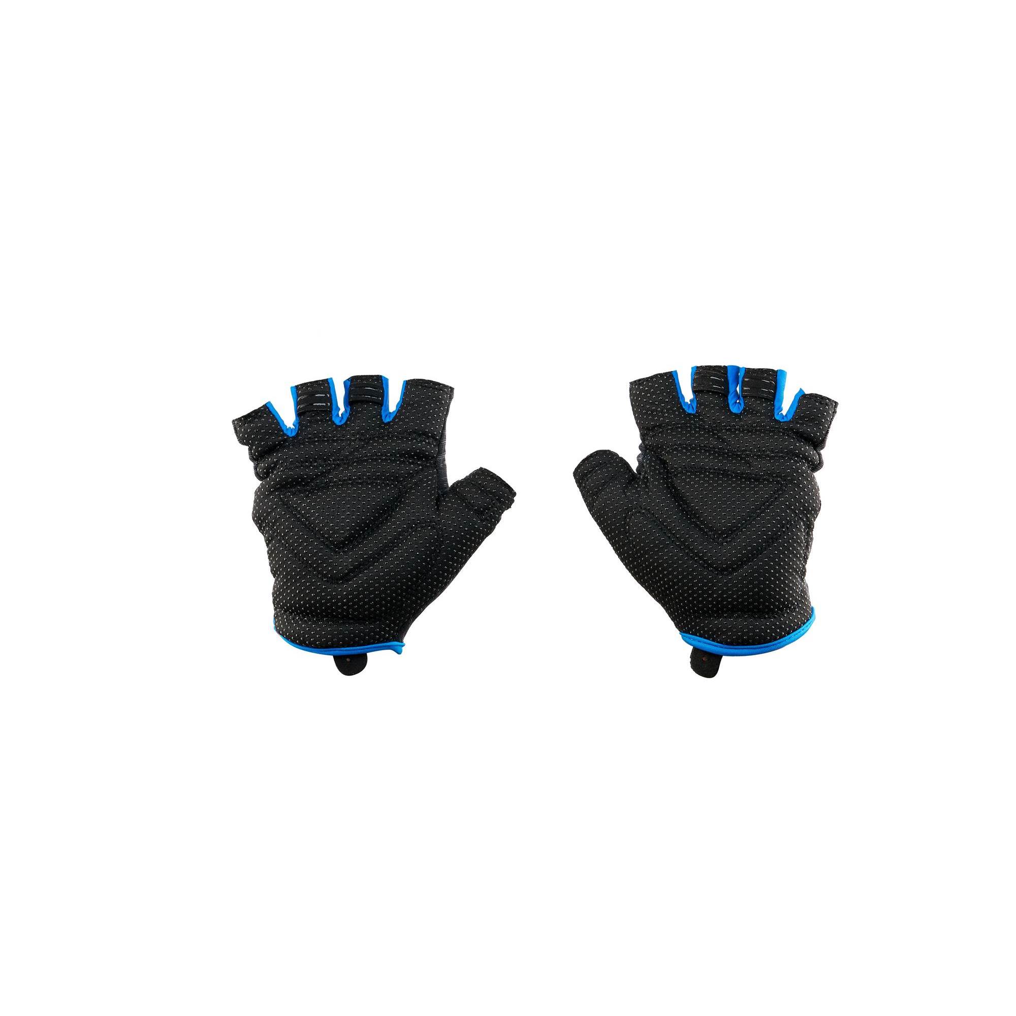 TIGER Black_Blue2