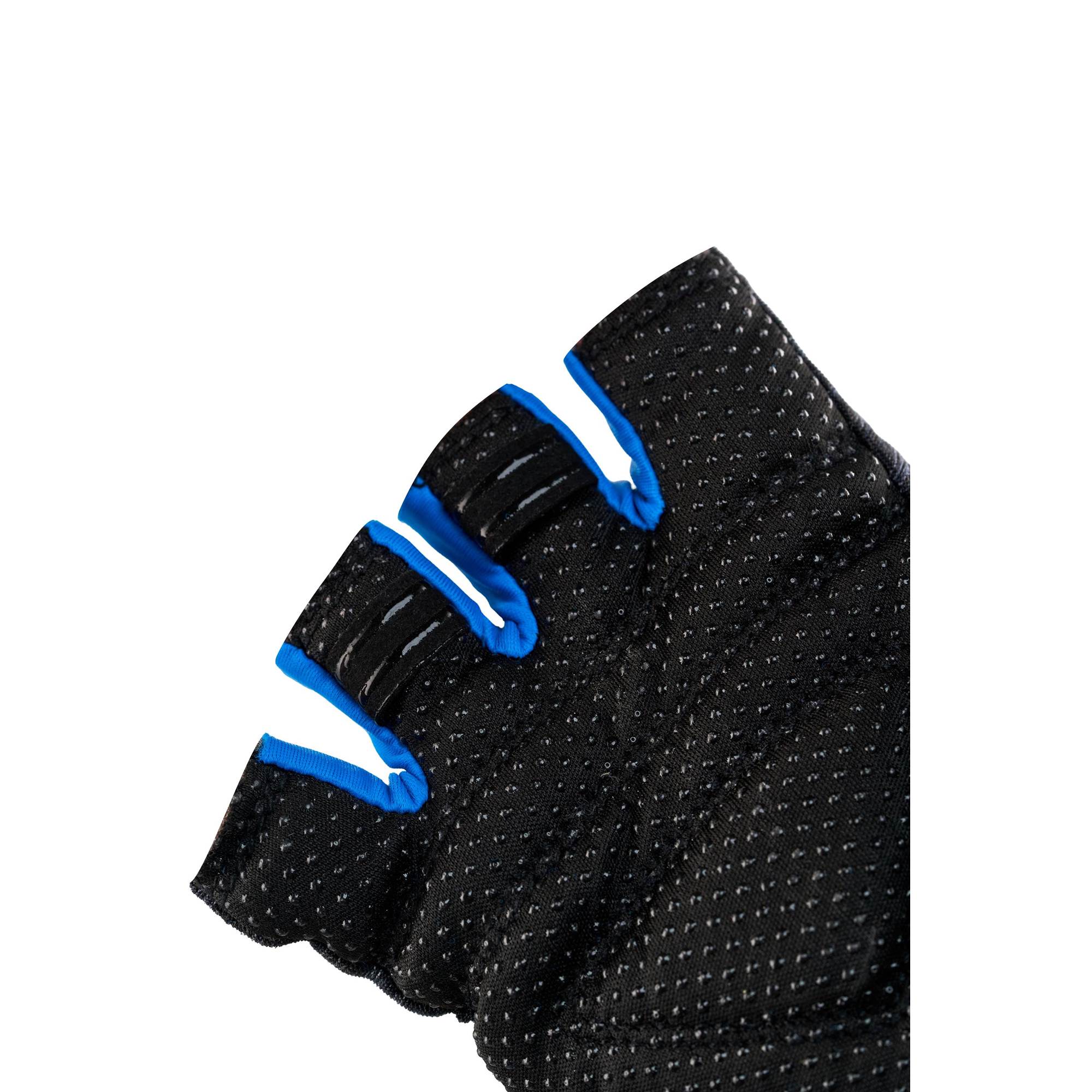 TIGER Black_Blue5