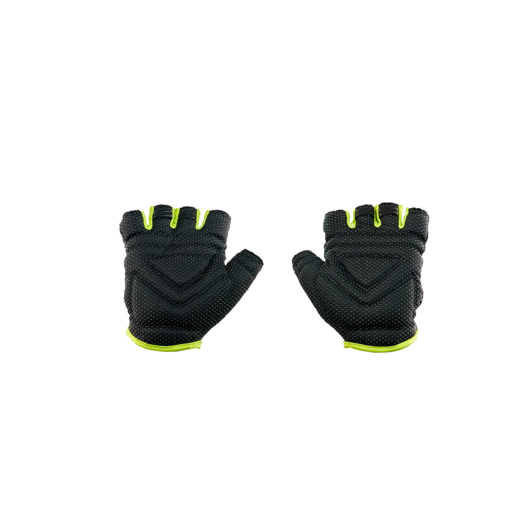 TIGER Black_Lime2