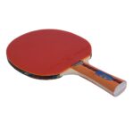 PALETA DE PING PONG 4* GIANT DRAGON CATAMOUNT - S250