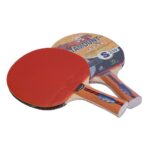 PALETA DE PING PONG 4* GIANT DRAGON CATAMOUNT - S250