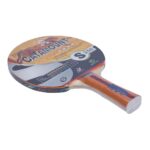 PALETA DE PING PONG 4* GIANT DRAGON CATAMOUNT - S250