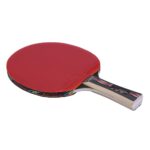 PALETA DE PING PONG 5* GIANT DRAGON COLLIDER - S260