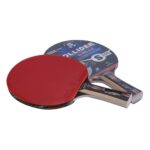 PALETA DE PING PONG 5* GIANT DRAGON COLLIDER - S260