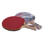 PALETA DE PING PONG 6* GIANT DRAGON PROFESSIONAL - C263