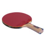 PALETA DE PING PONG 6* GIANT DRAGON PROFESSIONAL - C263