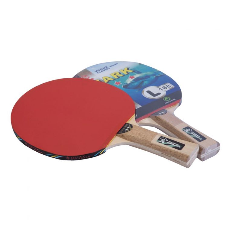 PALETA DE PING PONG 2* GIANT DRAGON SHARK - L168