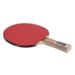 PALETA DE PING PONG SHARP SHOOTER - L168 2* GIANT DRAGON