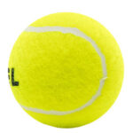 PELOTAS SUELTAS X UNIDAD PENN PADDLE