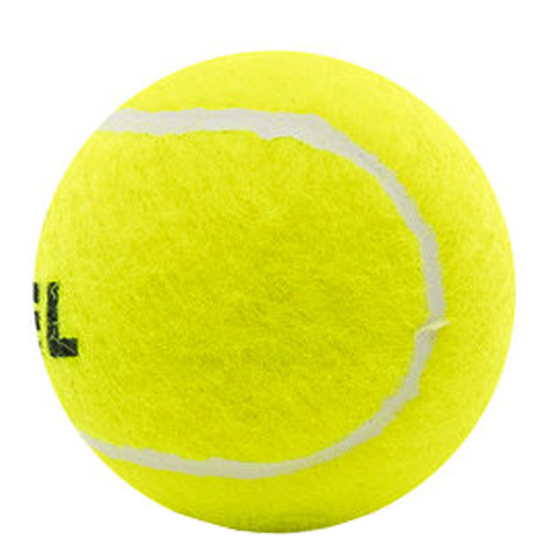 PELOTAS SUELTAS X UNIDAD PENN PADDLE