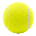 PELOTAS SUELTAS X UNIDAD PENN PADDLE