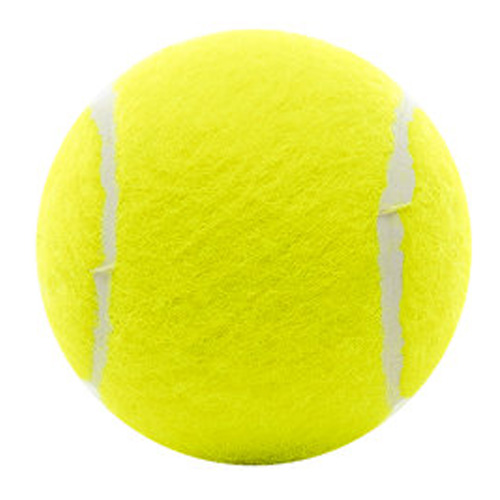 PELOTAS SUELTAS X UNIDAD PENN PADDLE