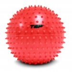 PELOTA DE ESTIMULACION CON PINCHES